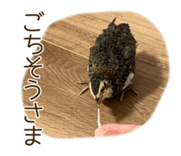 792944864