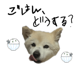 792947438