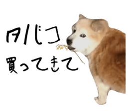 792947441