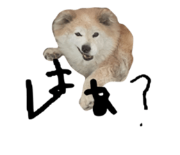 792947450