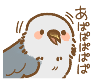 792950996