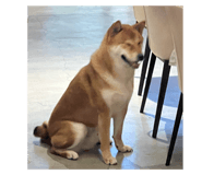 792970707