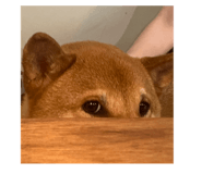 792970709