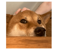 792970710