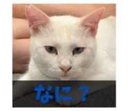 792973715