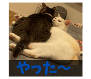 792973719