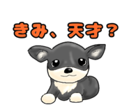 792981611