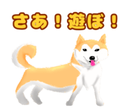 792981614
