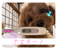 792997342