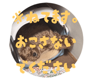 792997354