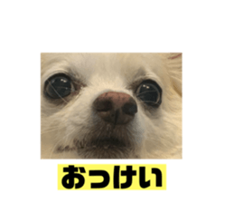793018150