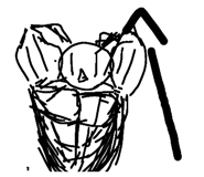 793033739