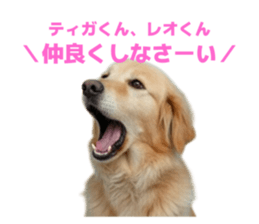 793036388