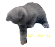 793037154