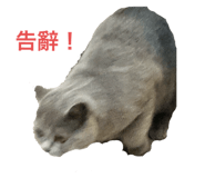 793037155