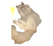 793037158