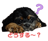 793037418