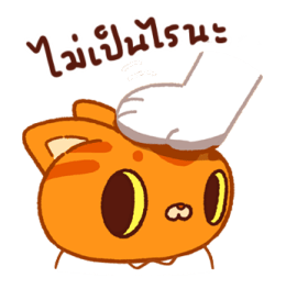 ลายที่ 11