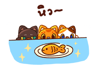 ลายที่ 13