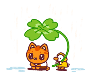 ลายที่ 31