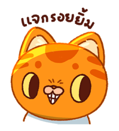 ลายที่ 37