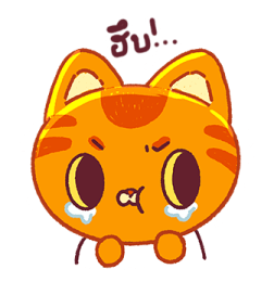 ลายที่ 47