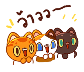 ลายที่ 51