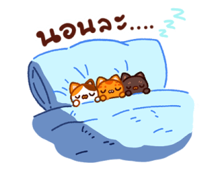 ลายที่ 59