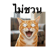 793041803