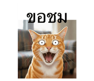 793041813