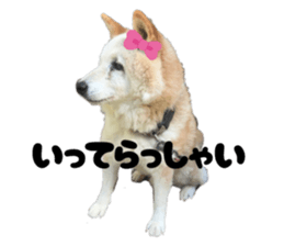793068945