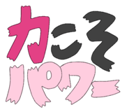 793082570