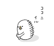 793082893