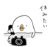 793082907