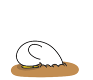 793086950