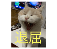793096021