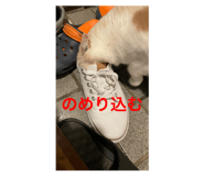 793096024