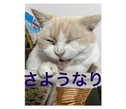 793096030