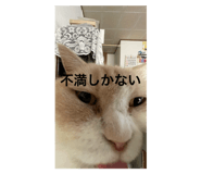 793096031