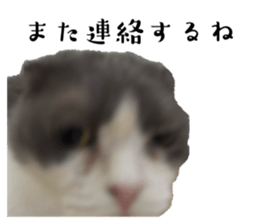 793096511