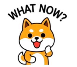 793097467