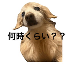 793099382