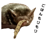 793103085