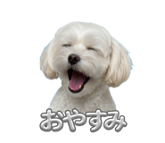 793103291