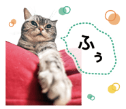 793122399