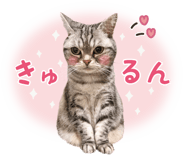 793122404