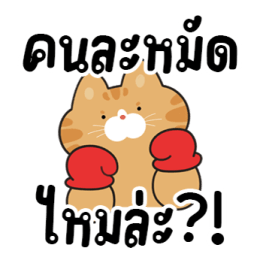 ส้มส้มเพื่อนรัก รูปที่ 6