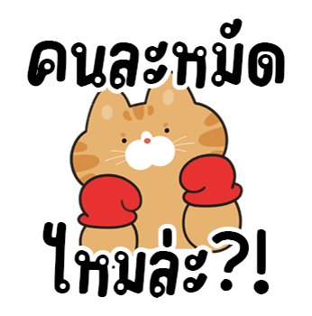 ลายที่ 6