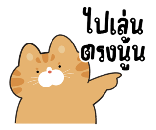 ลายที่ 13