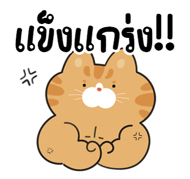 ลายที่ 8